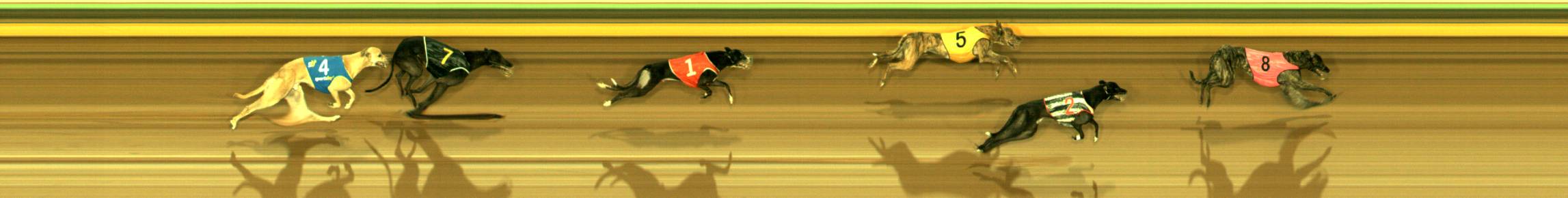 Race result finish photo